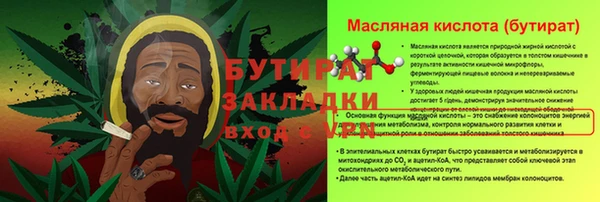 молекула духа Богданович